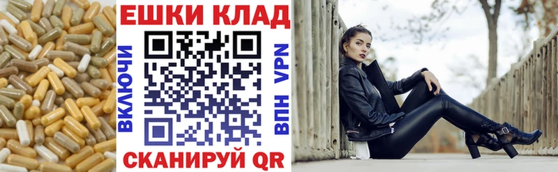 купить   Великие Луки  ЭКСТАЗИ диски 