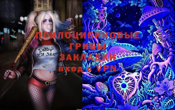 гашиш Болхов