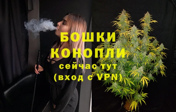 таблы Бикин
