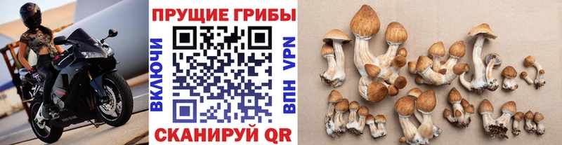 Псилоцибиновые грибы Magic Shrooms  купить наркотик  Великие Луки 