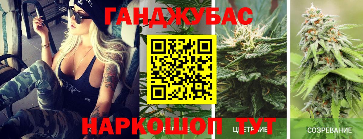 Шишки марихуана гибрид  Конопля OG Kush  Бошки Шишки семена  Великие Луки 